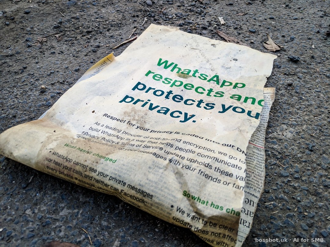 Person setting up WhatsApp Business API on laptop