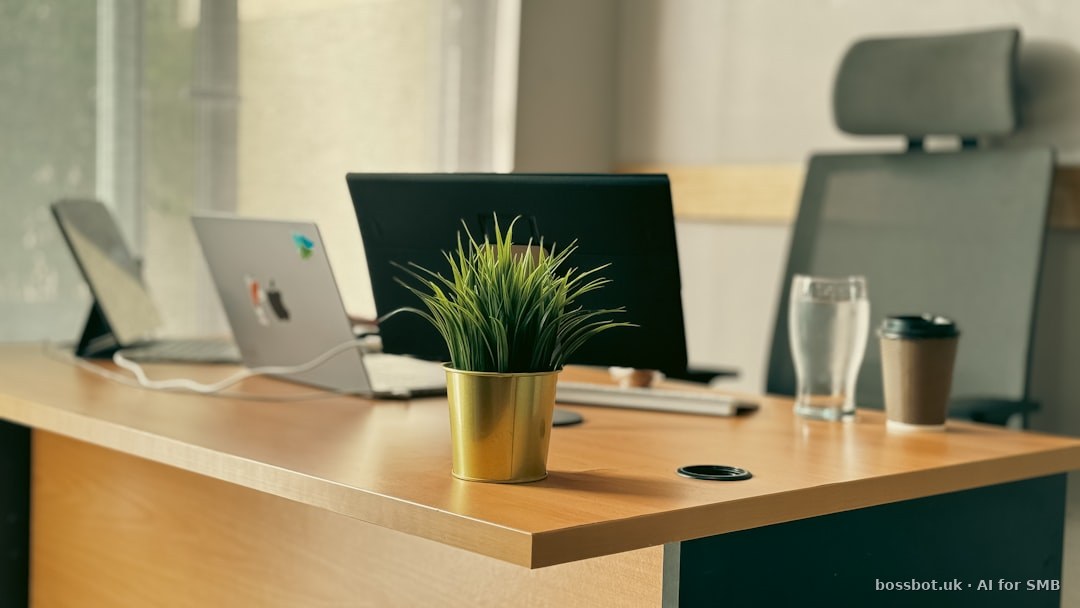 A desk with a laptop and a potted plant on it